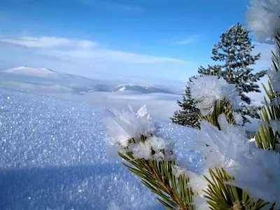 Neige cristalline alpine de la station de ski turque Sarikamish