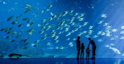 Royaume océanique de Chimelong en Chine