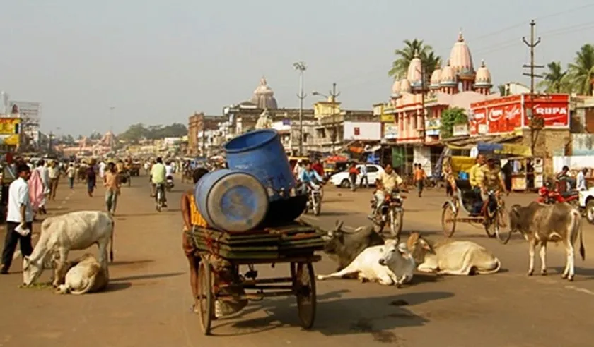 Conduire sur les routes de l'Inde