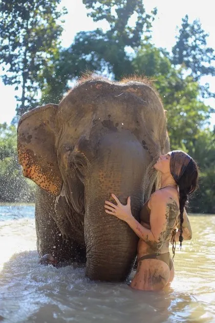 Femme avec un éléphant dans une rivière près de Chiang Mai