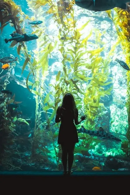 Aquarium de Long Island, États-Unis