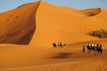 Sahara hivernal au Maroc